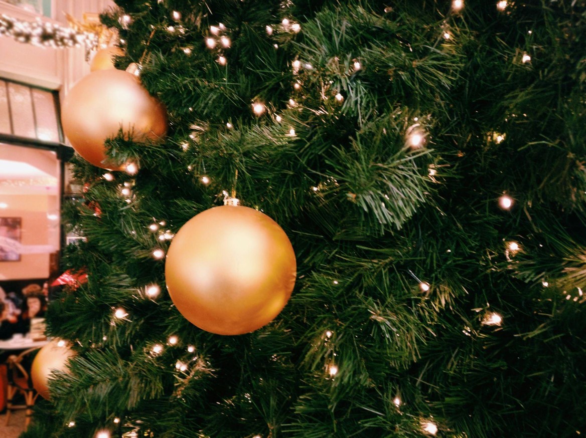 Discover the Joy of Christmas Tree Sales